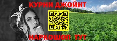 крисы Краснознаменск