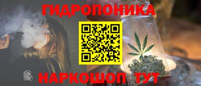 крисы Краснознаменск