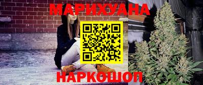 крисы Краснознаменск