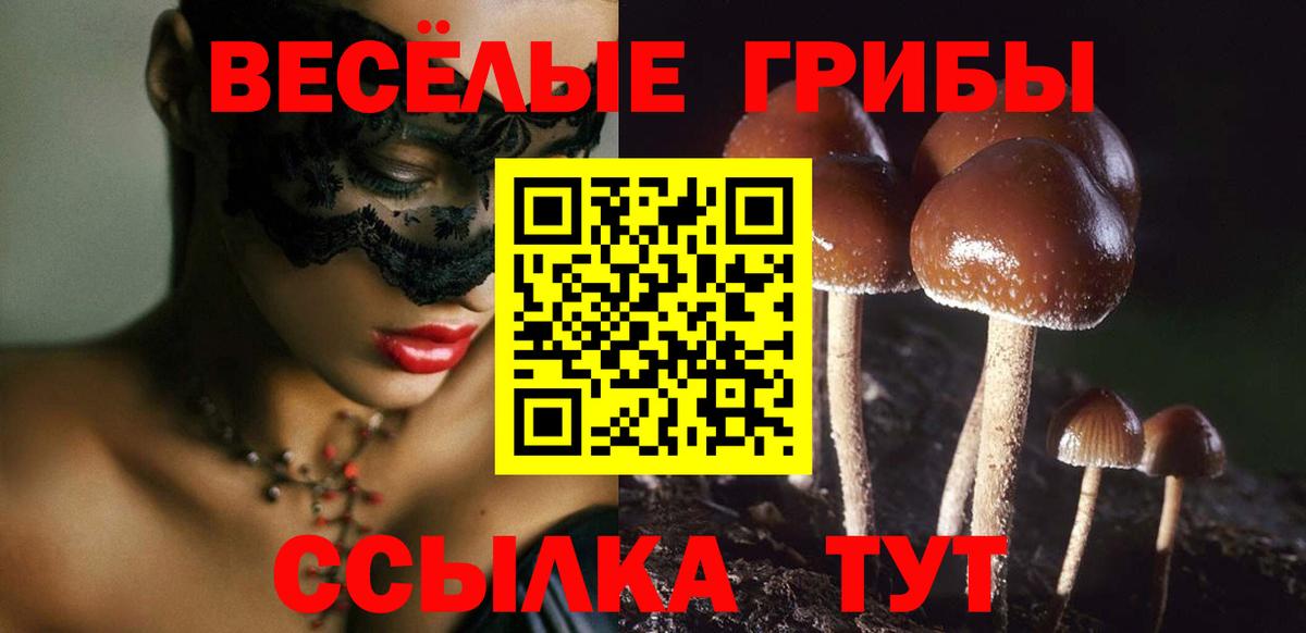 Псилоцибиновые грибы мухоморы  Галлюциногенные грибы Magic Shrooms  Клин  Вход с VPN 