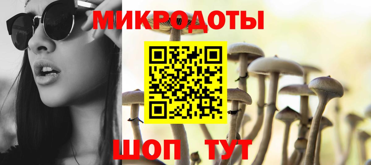 Псилоцибиновые грибы Psilocybine cubensis Клин